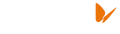 logo-naturgy